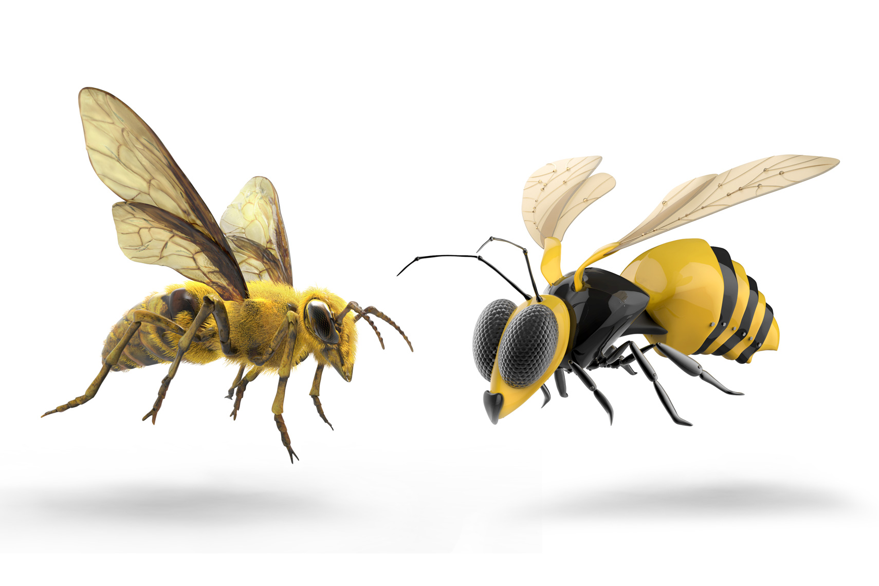Bee vs Mech Bee