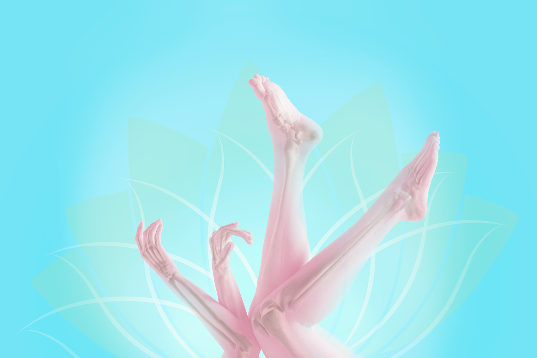 Lotus Blossom